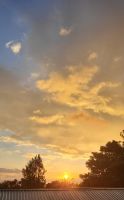 183 Sonnenuntergang Monte Verde