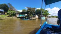 184 – Costa Rica, Sierpe