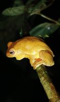 19 Froschtour