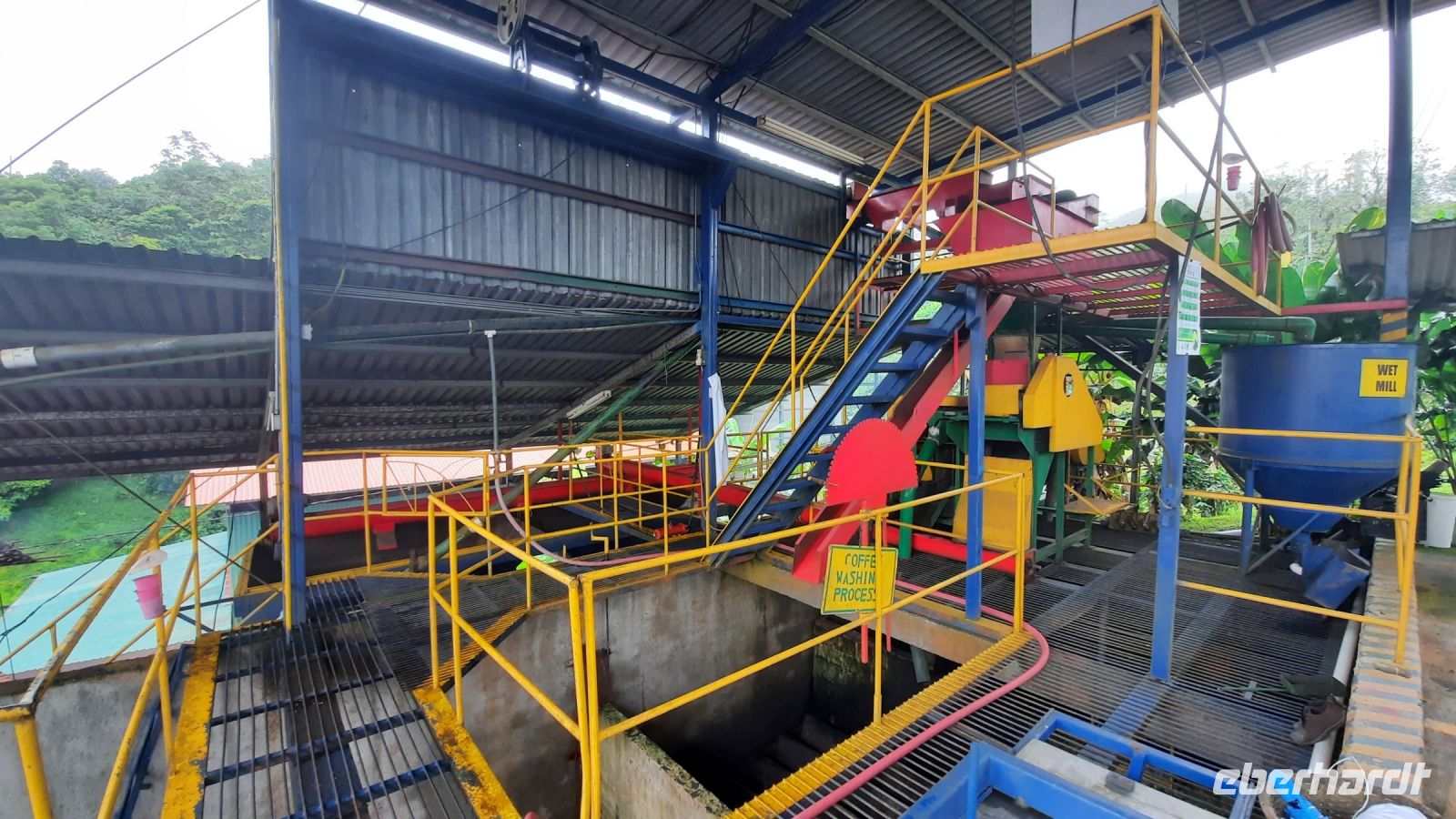 006 – Costa Rica, Kaffeeplantage