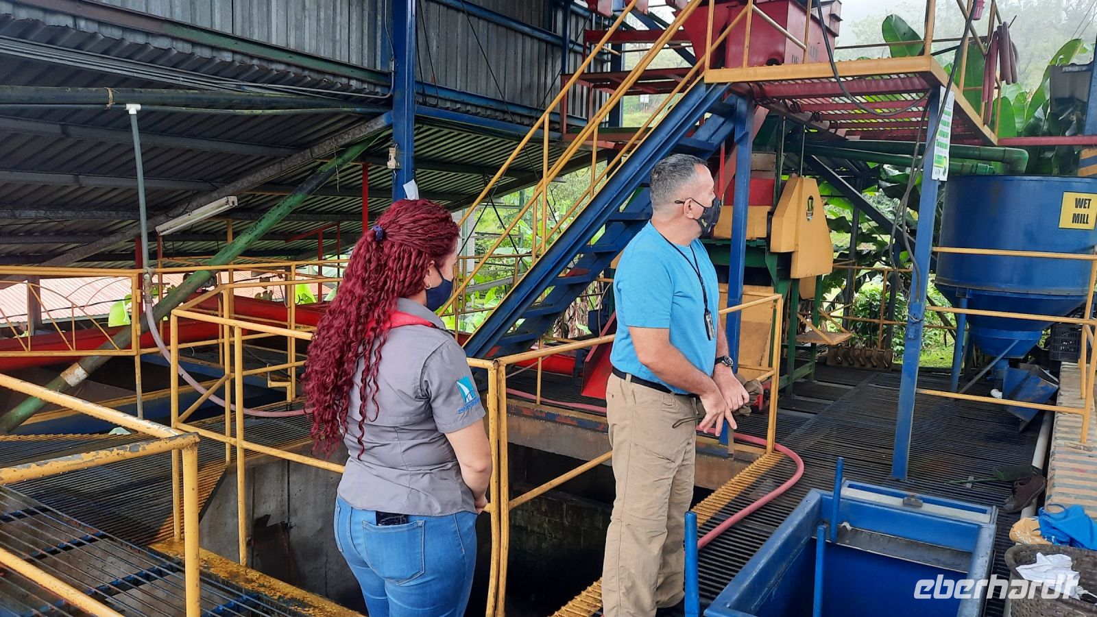 010 – Costa Rica, Kaffeeplantage