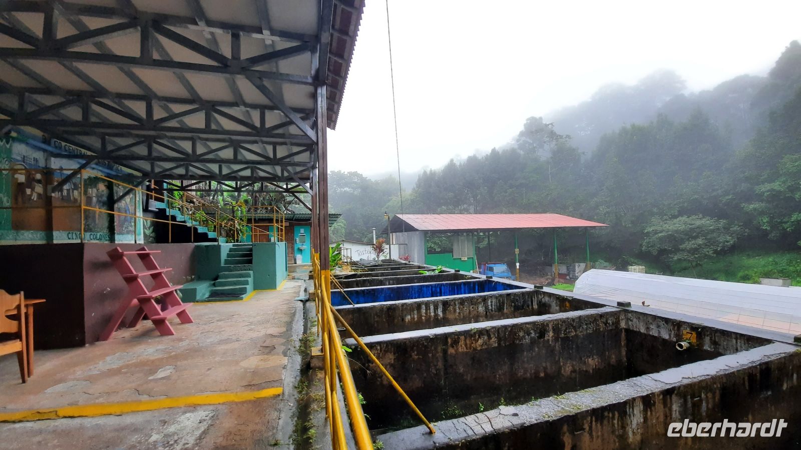 013 – Costa Rica, Kaffeeplantage