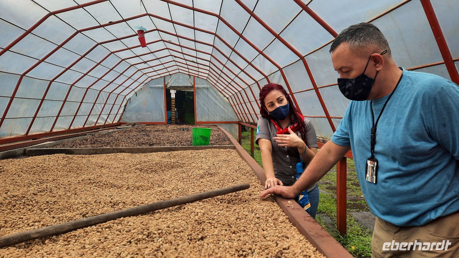 014 – Costa Rica, Kaffeeplantage