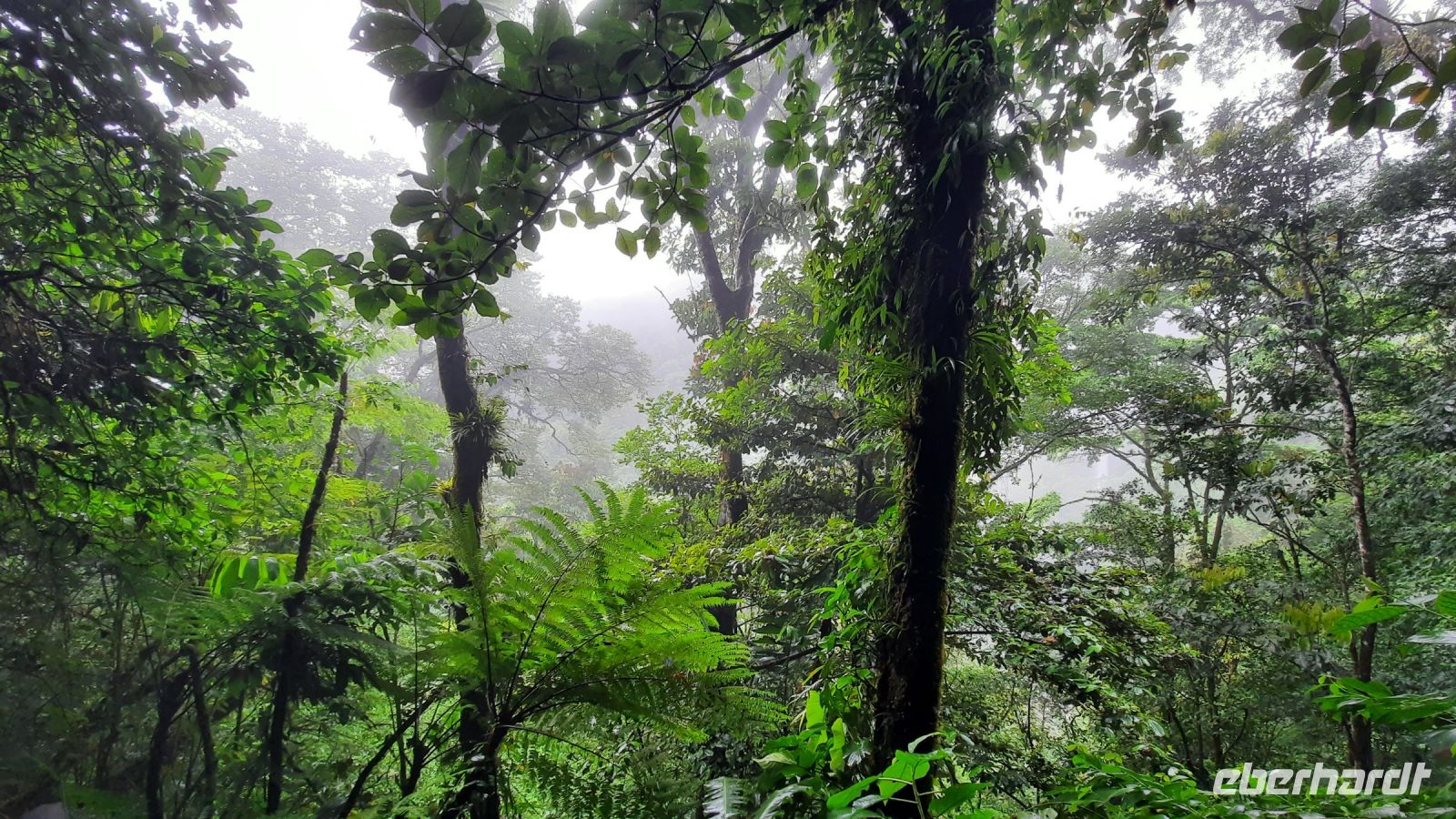 029 – Costa Rica, La Fortuna Wasserfall