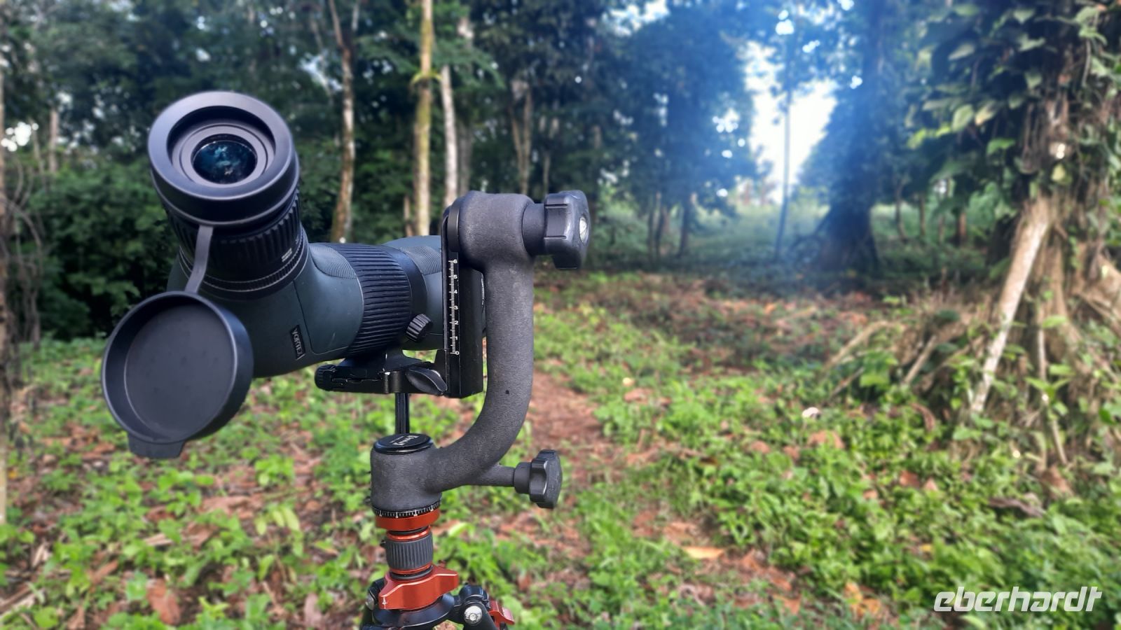 046 – Costa Rica, Tierbeobachtung