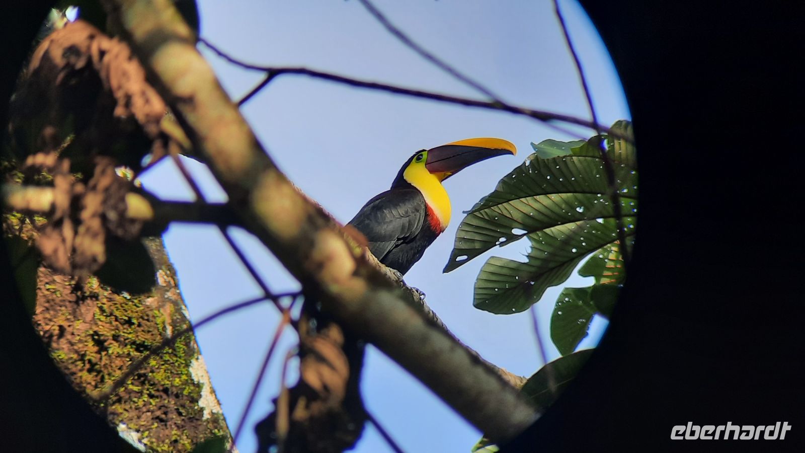 048 – Costa Rica, Tukan