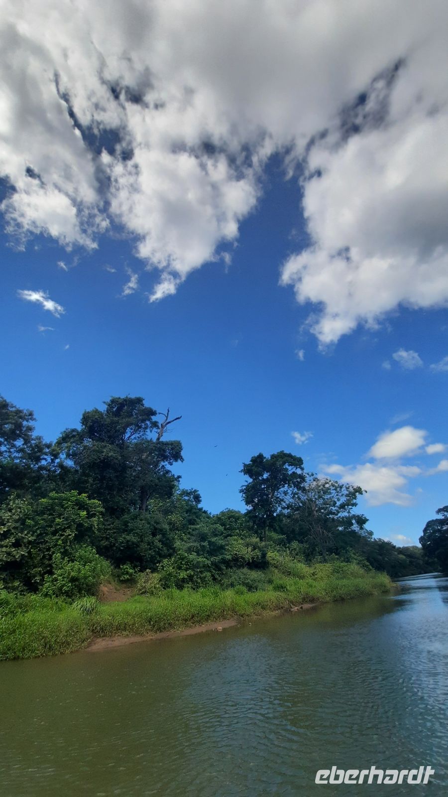 057 – Costa Rica, Corobici Fluss, Bootstour