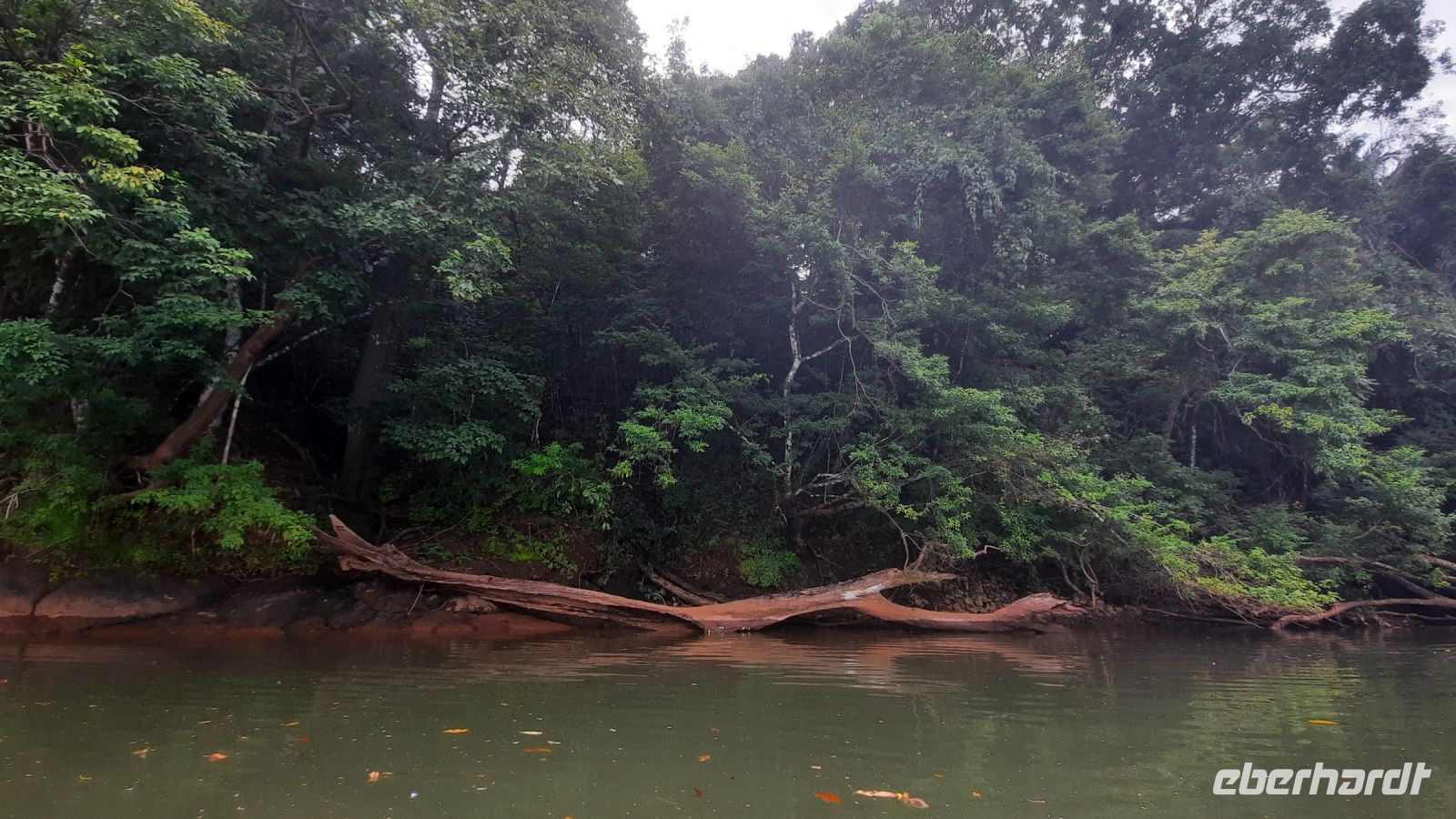 067 – Costa Rica, Ora Fluss, Kajak Tour