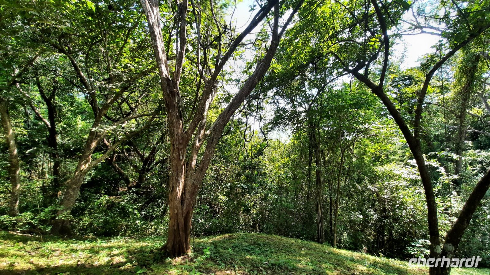 092 – Costa Rica, Werner Sauter Biological Reserve