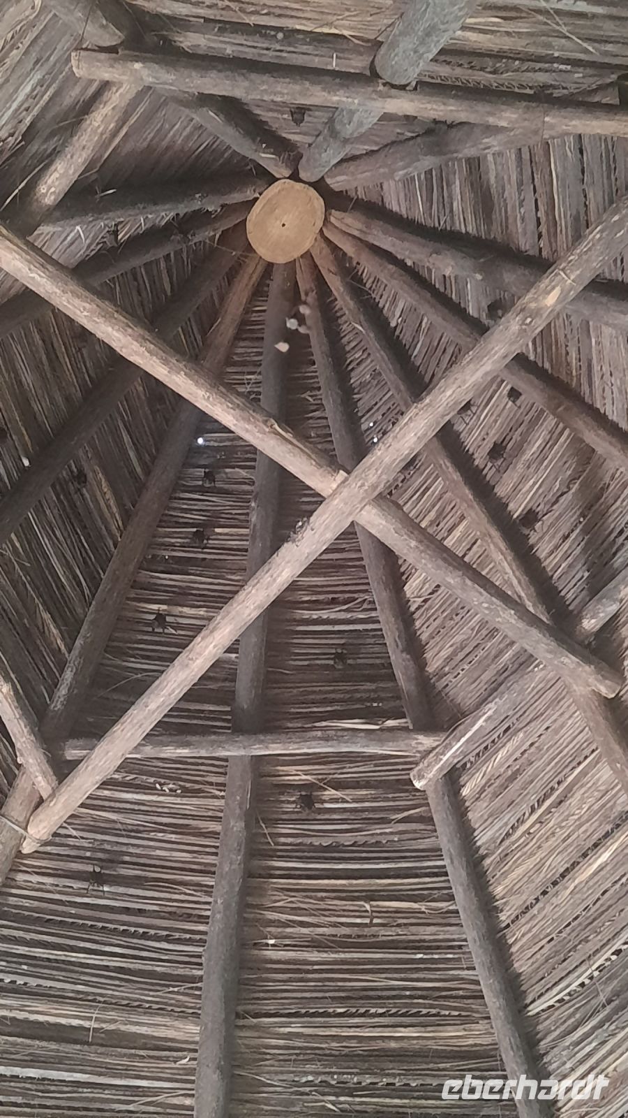 095 – Costa Rica, Werner Sauter Biological Reserve, Fledermäuse