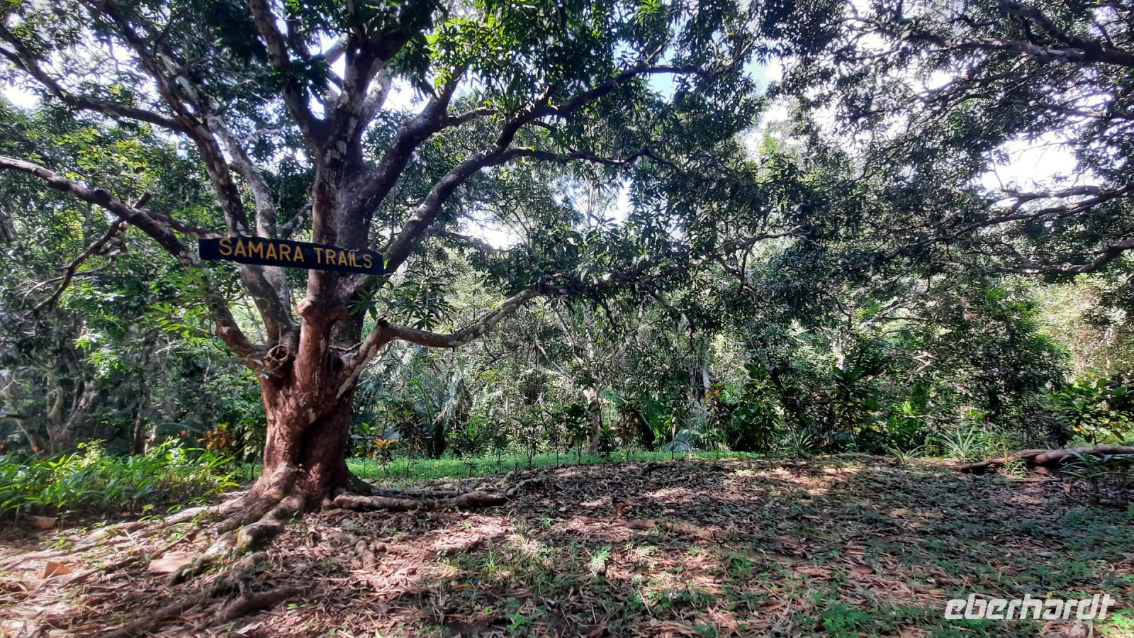 098 – Costa Rica, Werner Sauter Biological Reserve