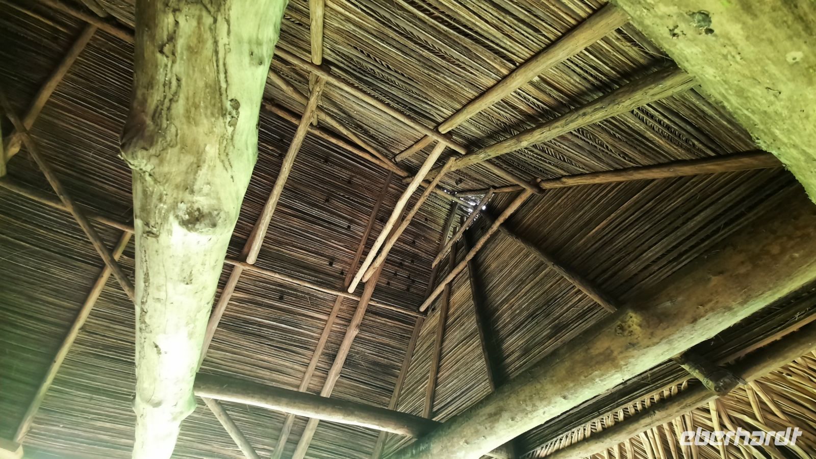 099 – Costa Rica, Werner Sauter Biological Reserve, Fledermäuse