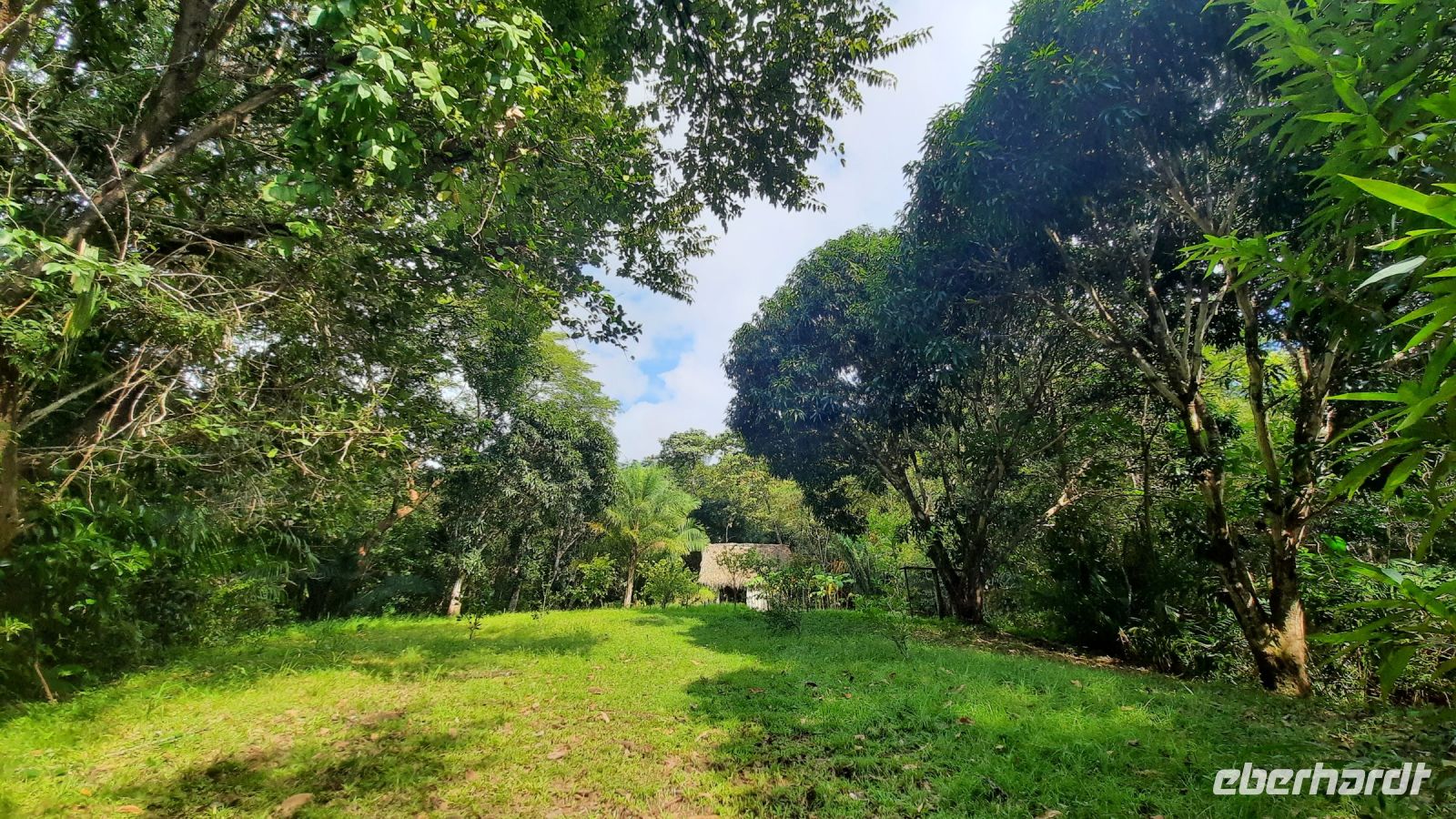 100 – Costa Rica, Werner Sauter Biological Reserve