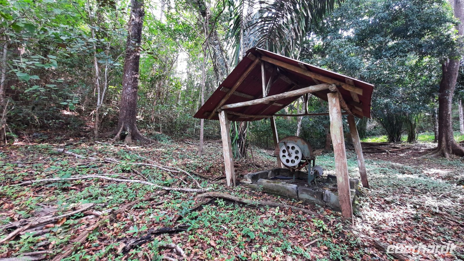 102 – Costa Rica, Werner Sauter Biological Reserve