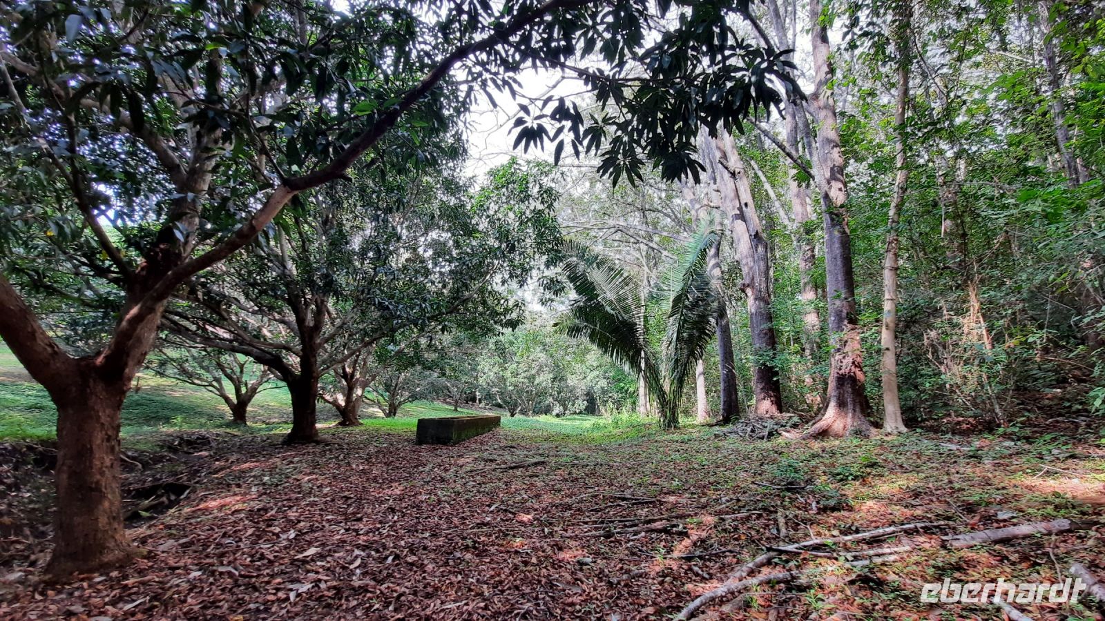 103 – Costa Rica, Werner Sauter Biological Reserve