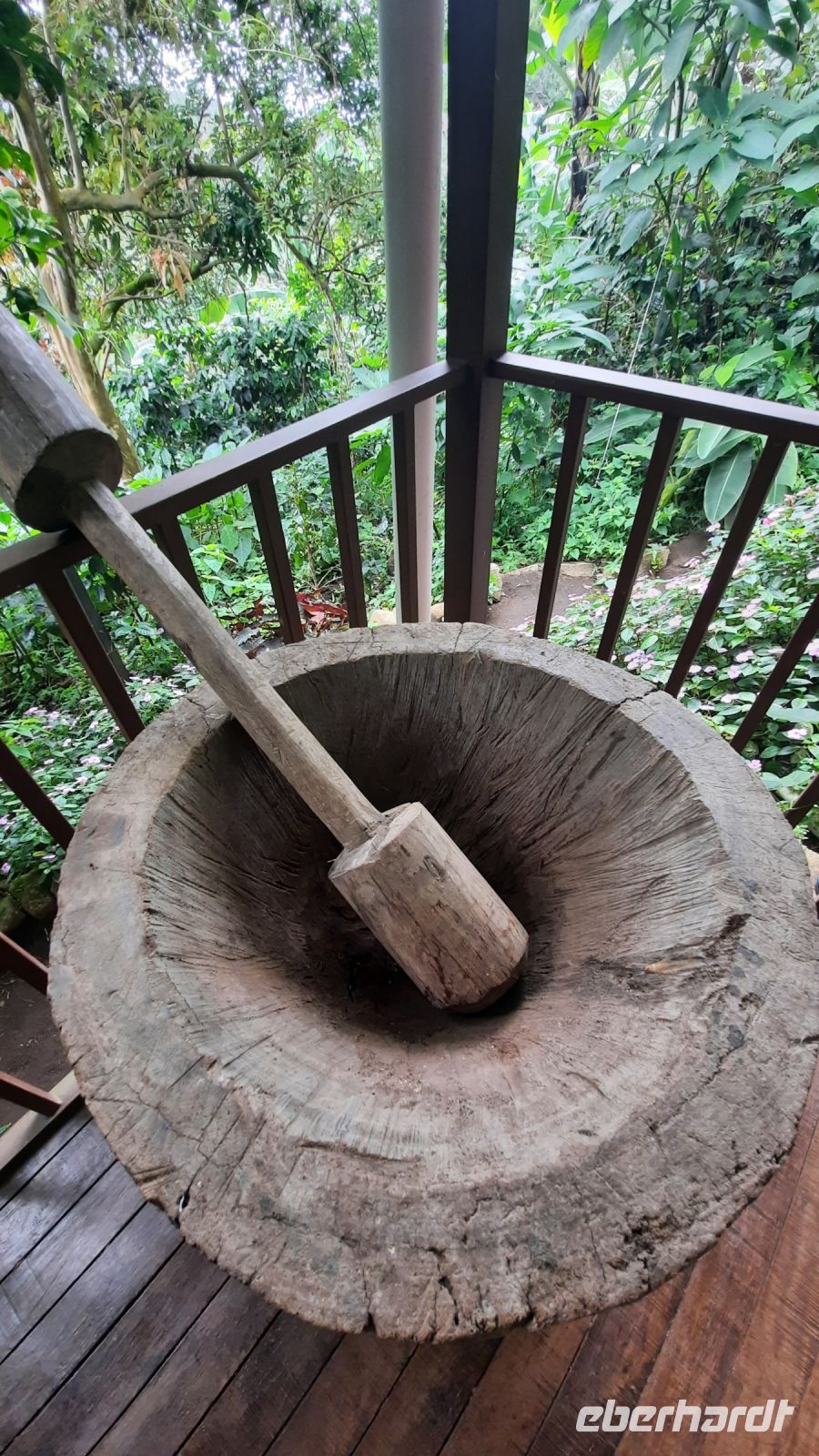 132 – Costa Rica, Finca Doña Hermida