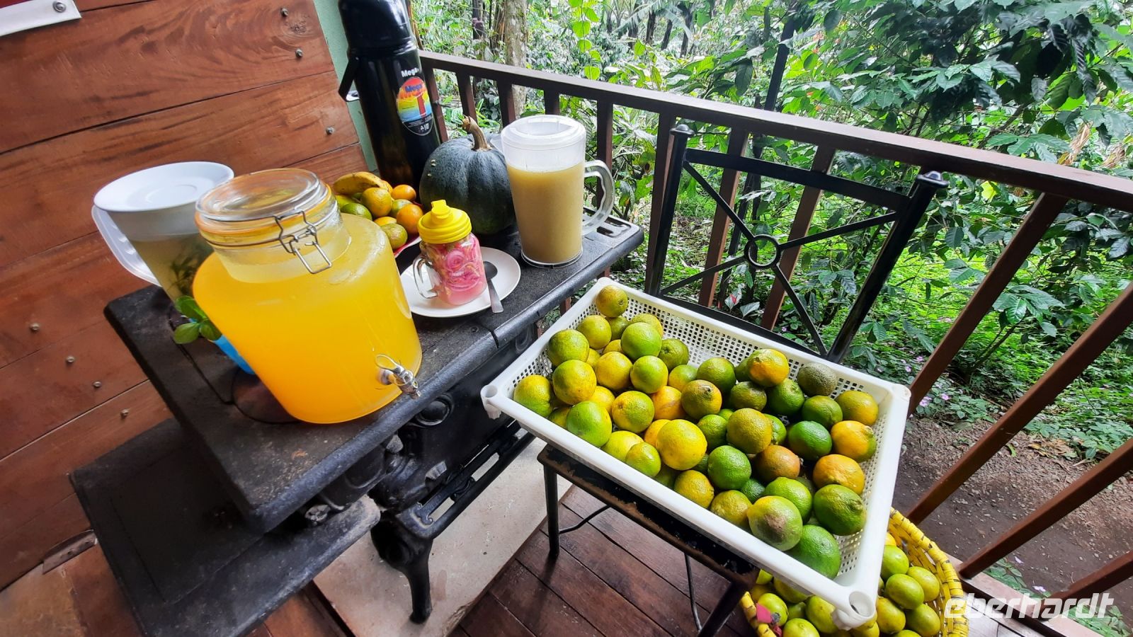 133 – Costa Rica, Finca Doña Hermida