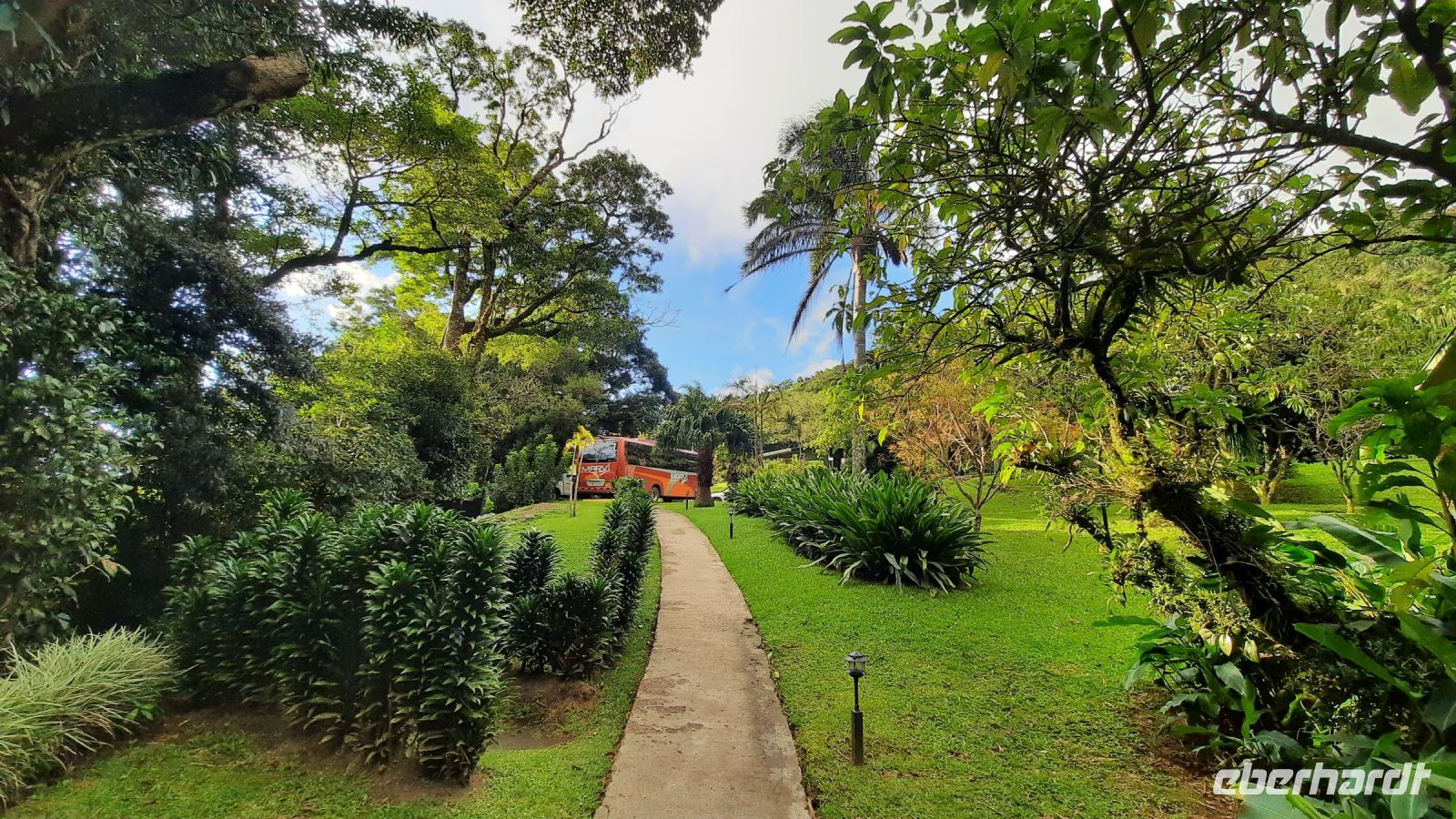 141 – Costa Rica, Monteverde Cloud Forest Lodge