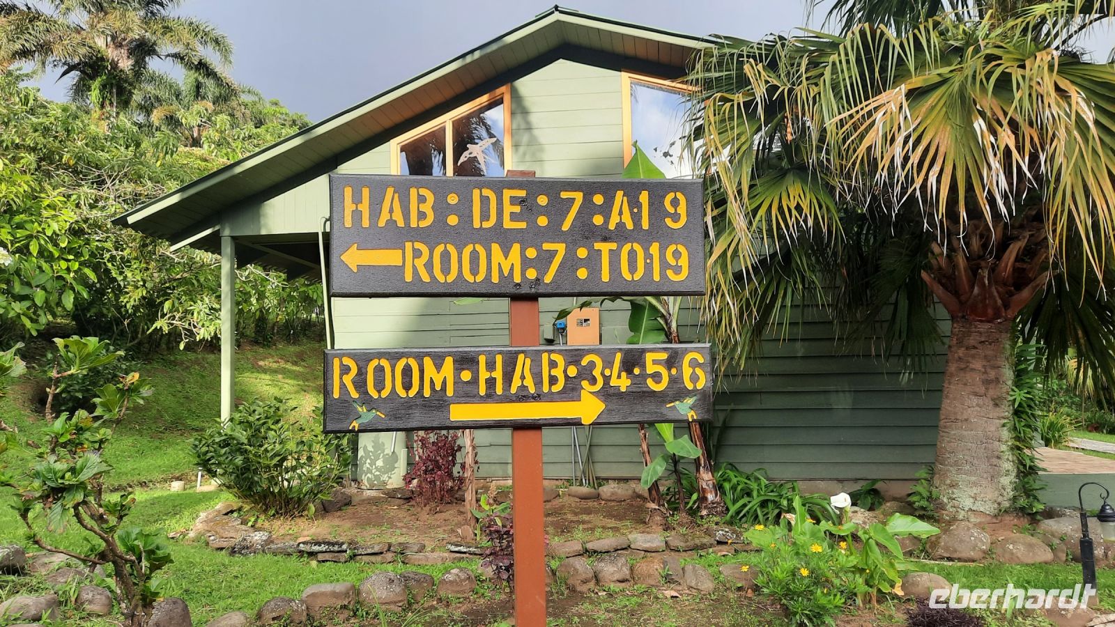 142 – Costa Rica, Monteverde Cloud Forest Lodge