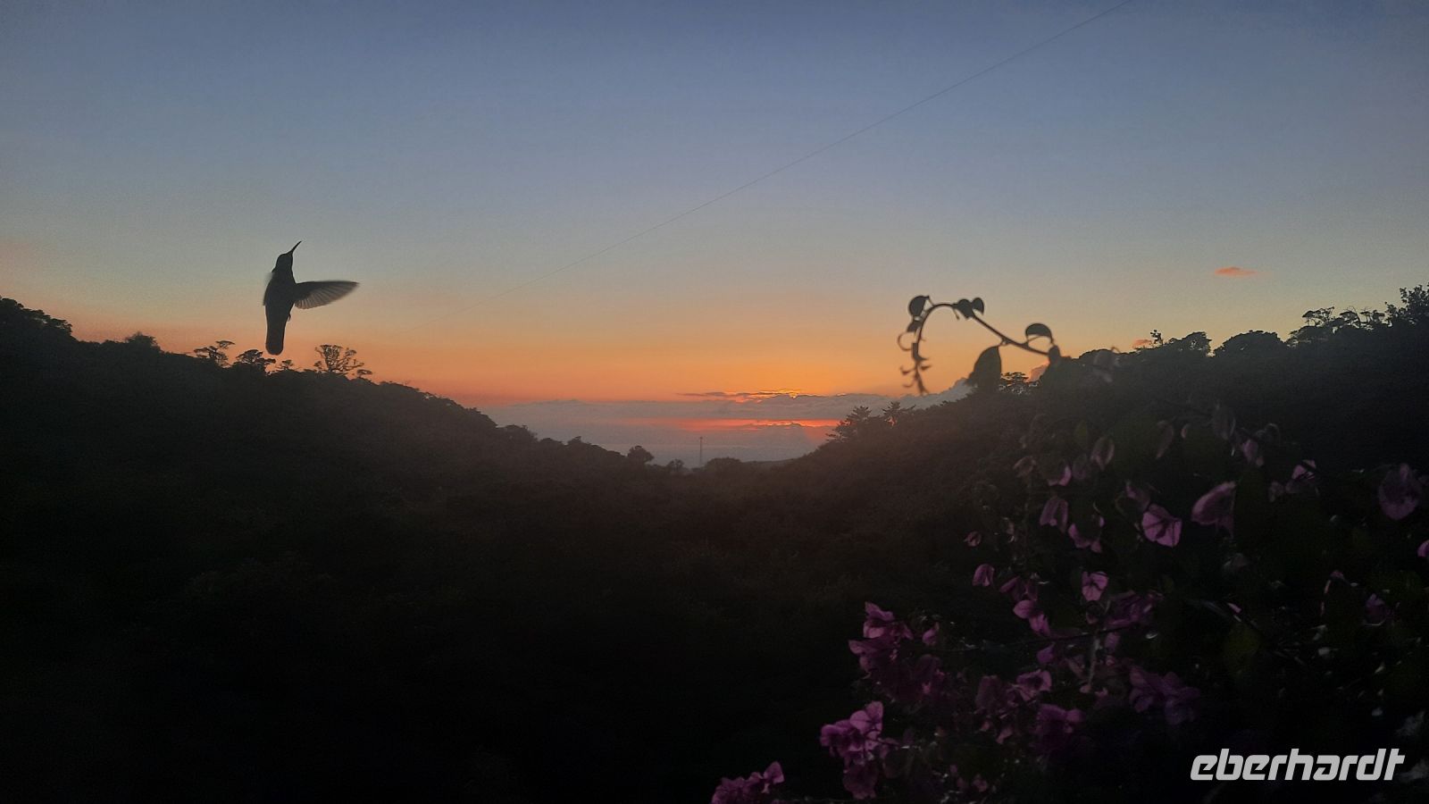 144 – Costa Rica, Monteverde Cloud Forest Lodge, Kolibri