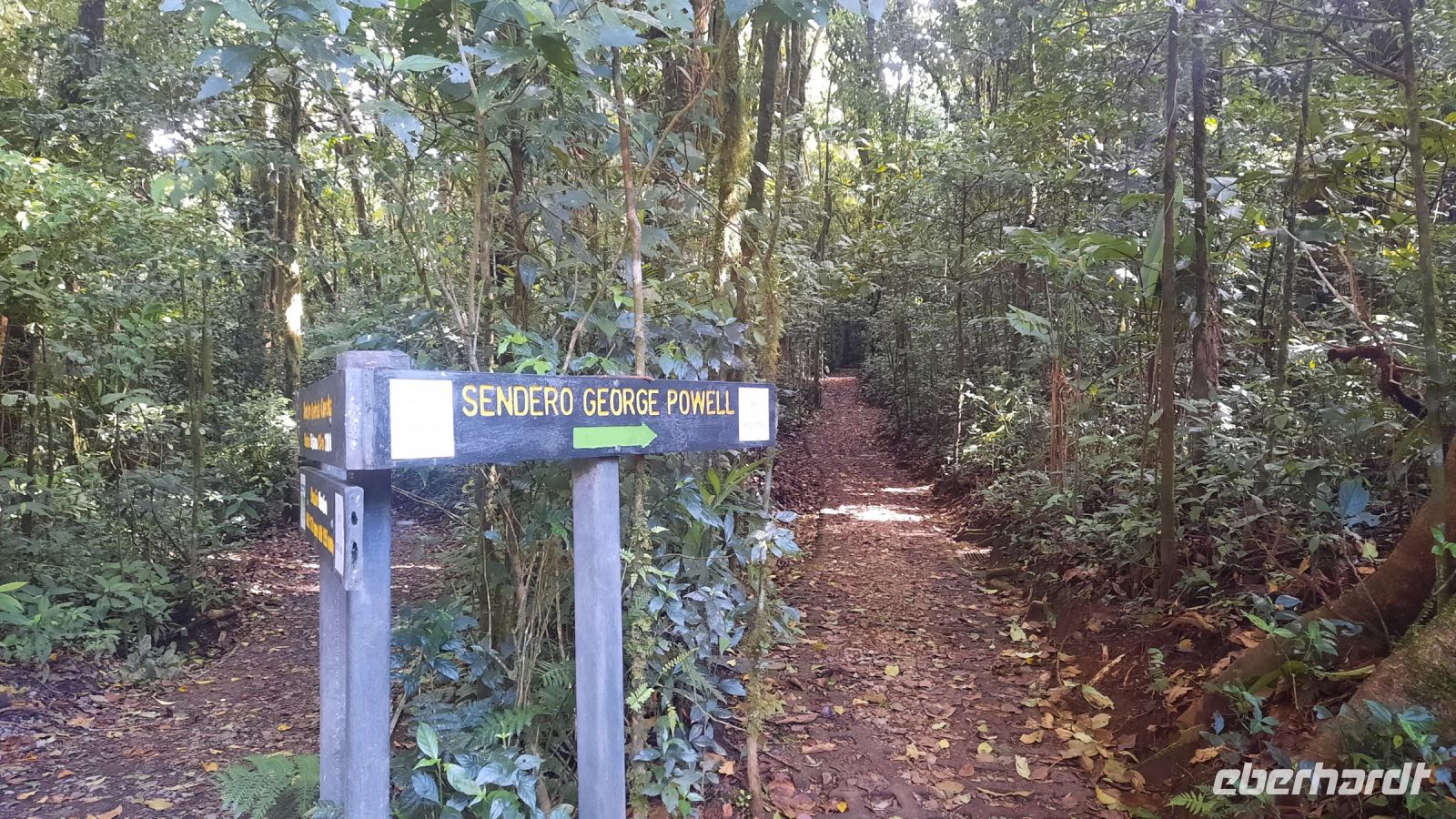 145 – Costa Rica, Monteverde Wanderung Nebelwald