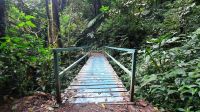 152 – Costa Rica, Monteverde Wanderung Nebelwald