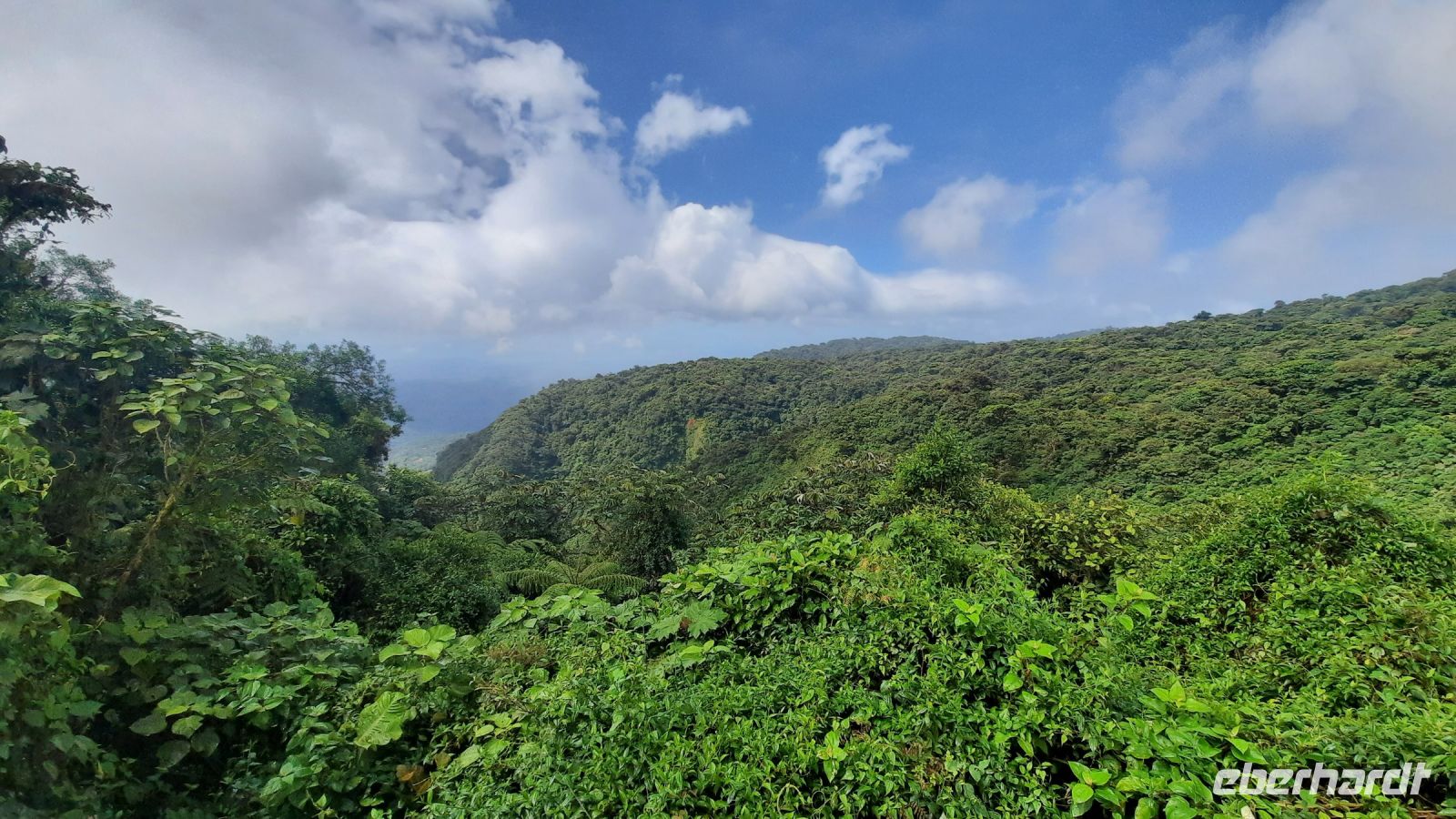 157 – Costa Rica, Monteverde Wanderung Nebelwald, Wetterscheide
