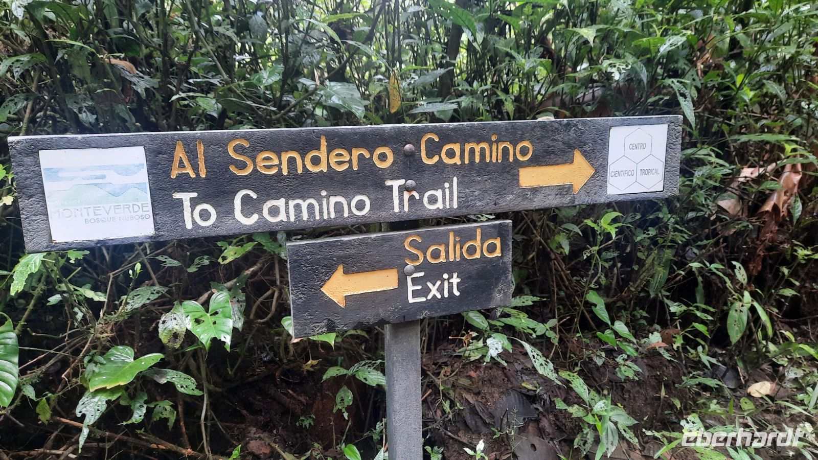159 – Costa Rica, Monteverde Wanderung Nebelwald
