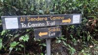 159 – Costa Rica, Monteverde Wanderung Nebelwald