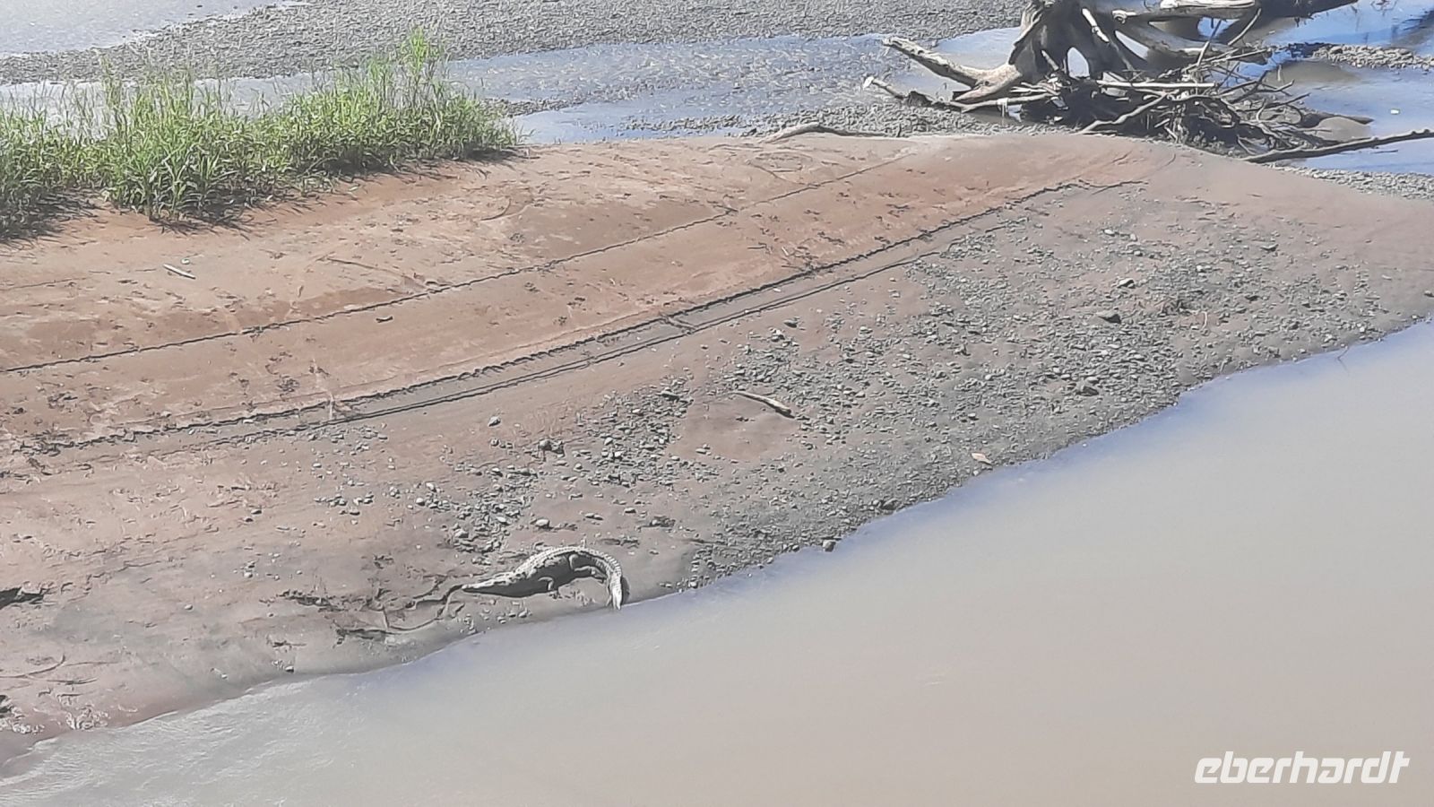 163 – Costa Rica, Tarcoles Fluss, Krokodil