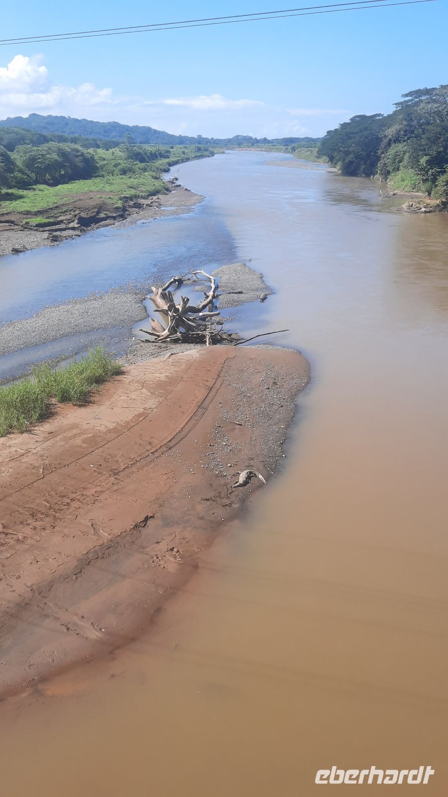 166 – Costa Rica, Tarcoles Fluss, Krokodil