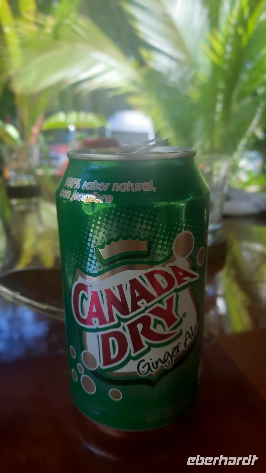 169 – Costa Rica, schwebendes Canada Dry