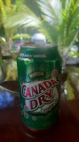 169 – Costa Rica, schwebendes Canada Dry