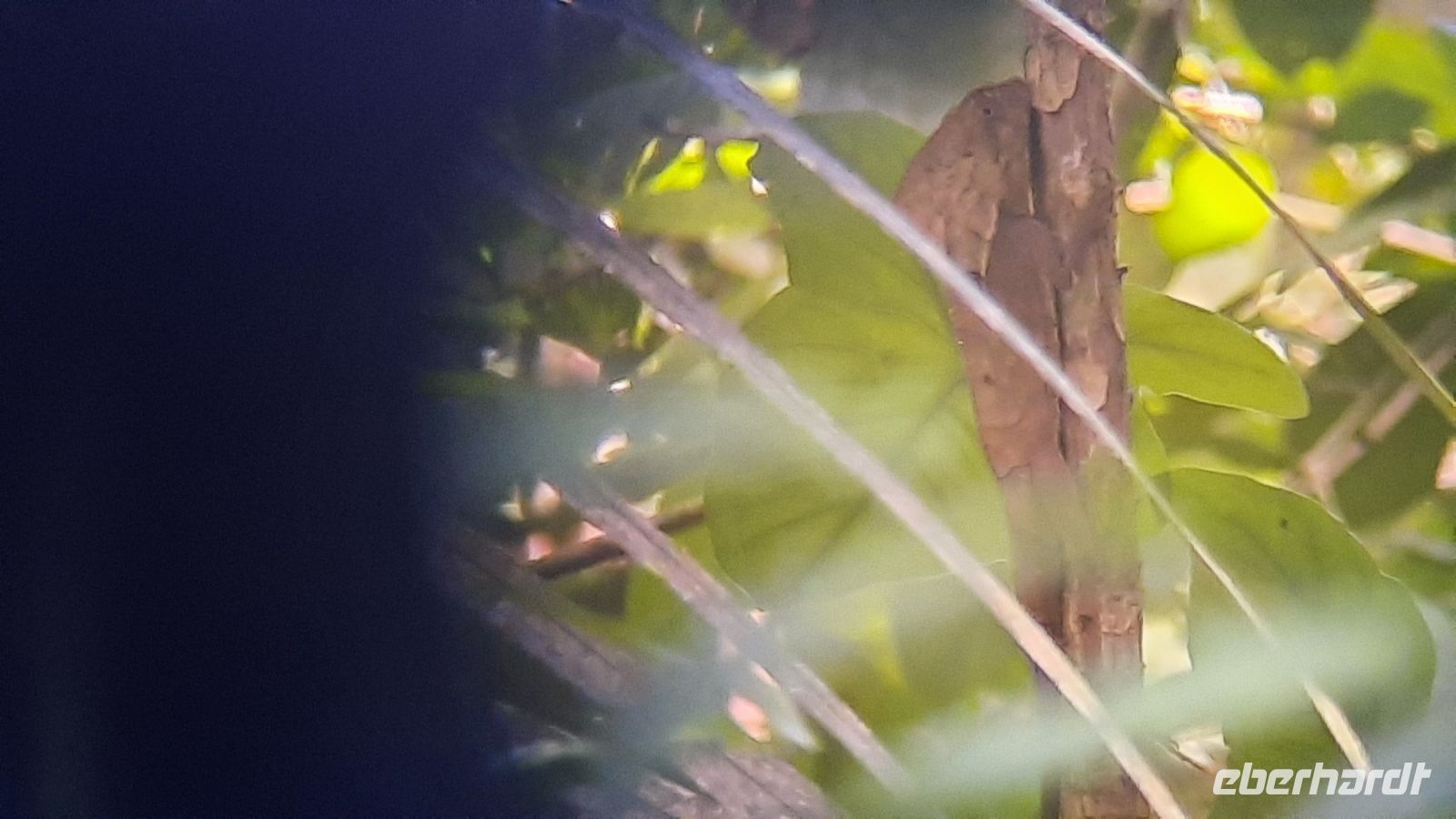 170 – Costa Rica, Nationalpark Manuel Antonio