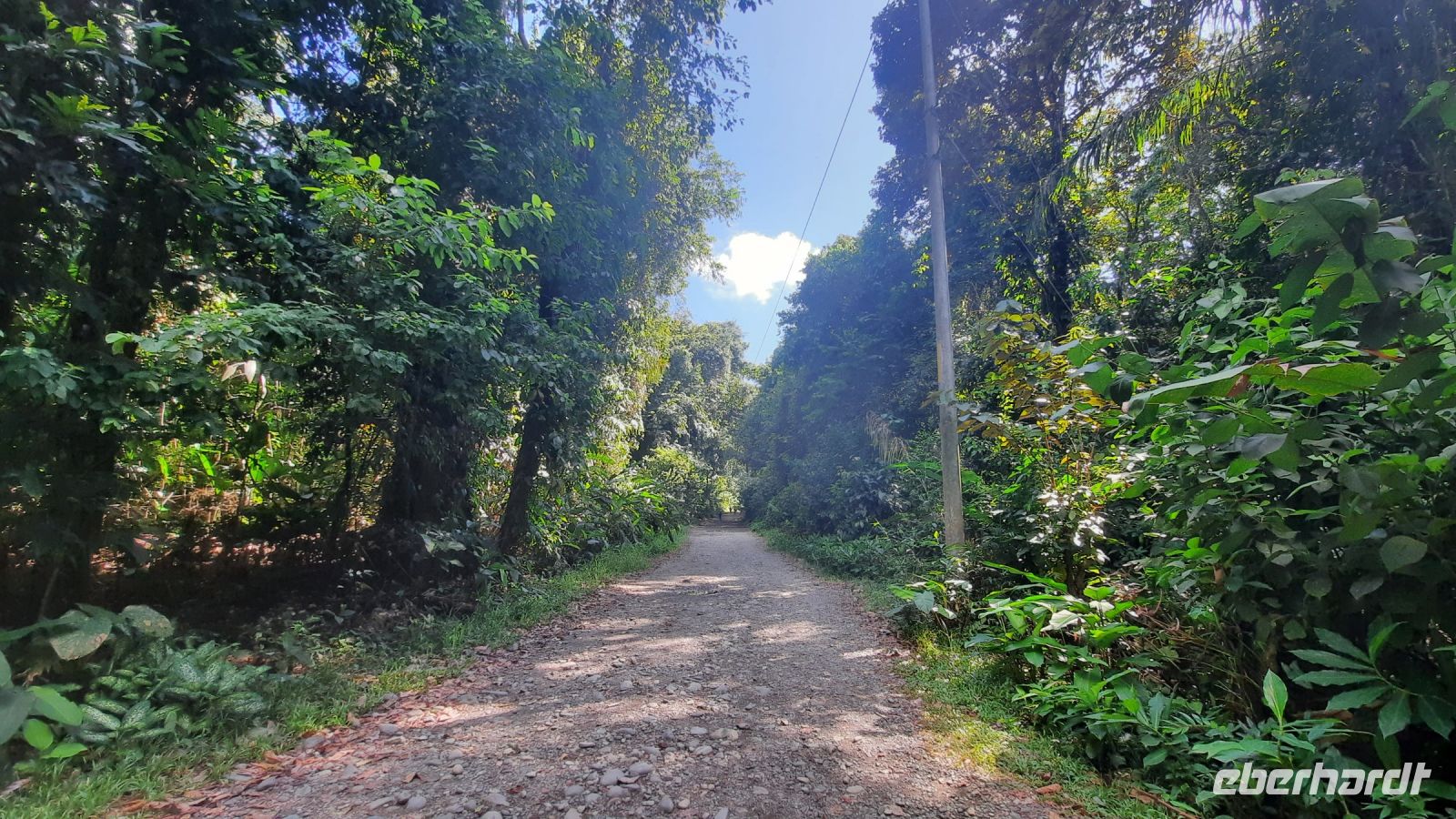 171 – Costa Rica, Nationalpark Manuel Antonio