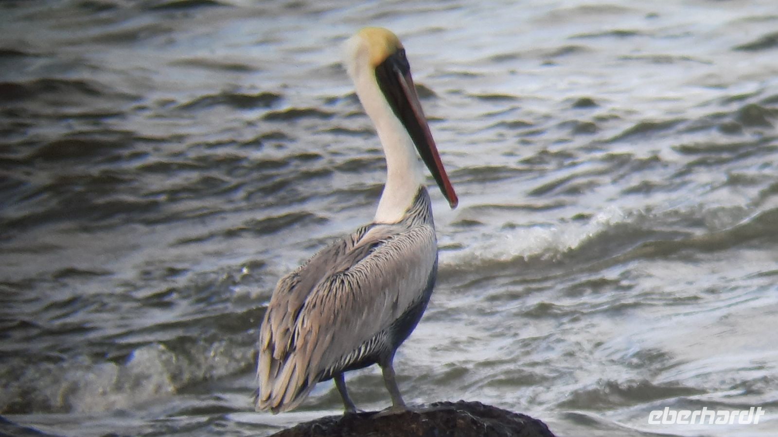 191 – Costa Rica, Corcovado-Nationalpark