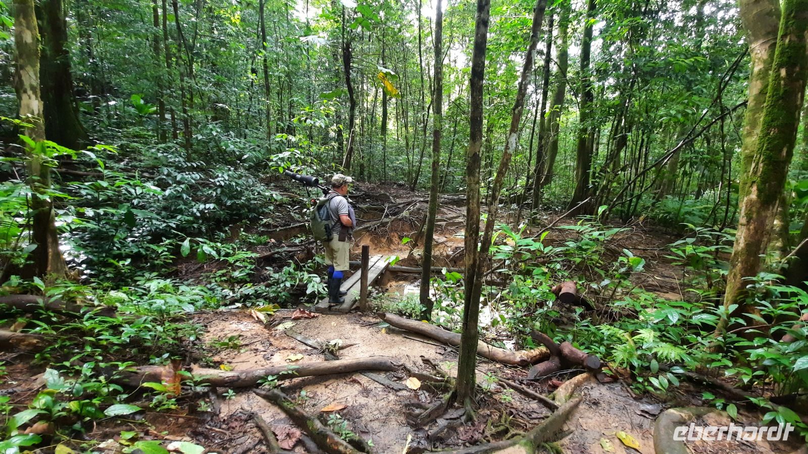 195 – Costa Rica, Corcovado-Nationalpark