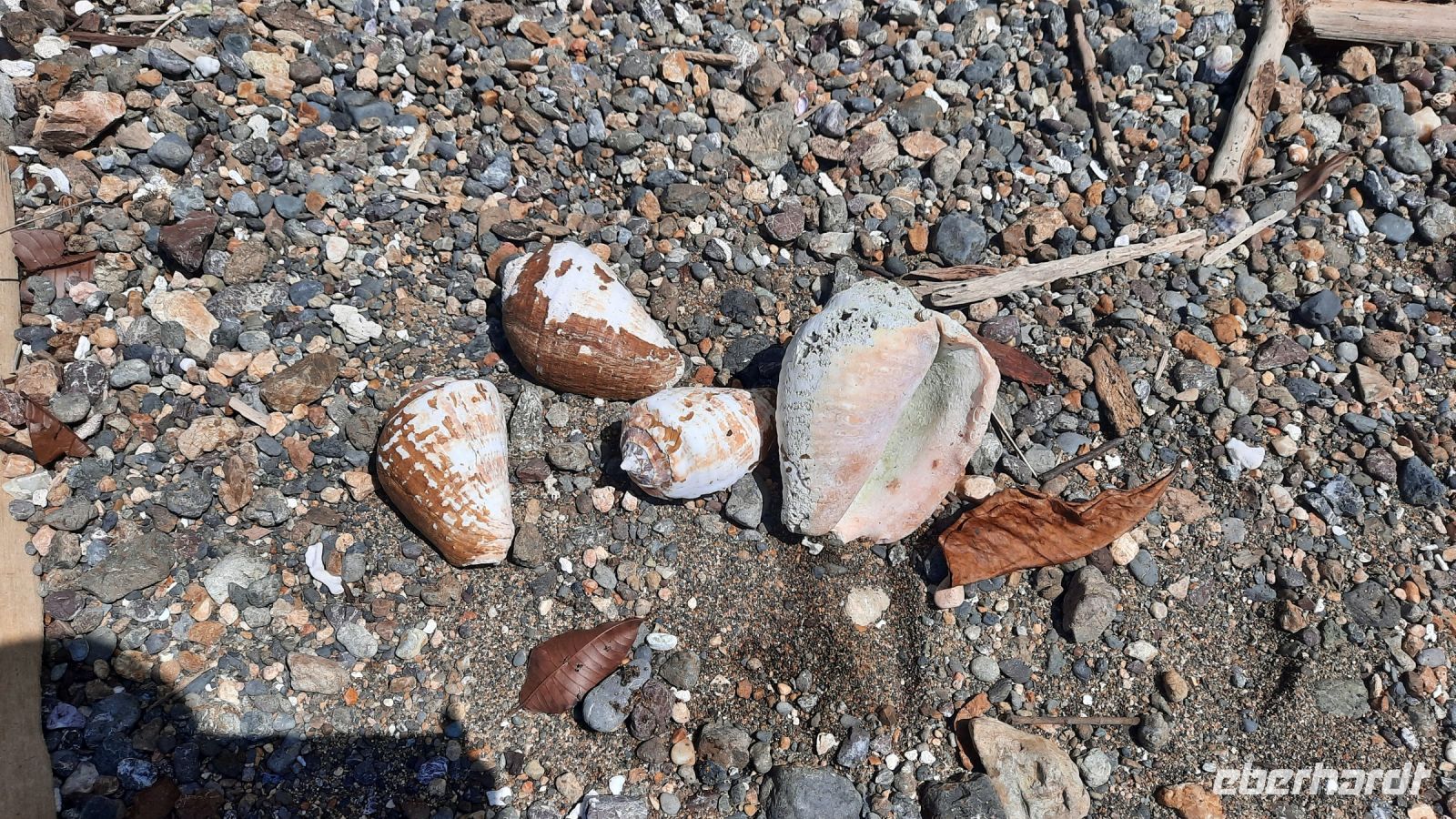 205 – Costa Rica, Corcovado-Nationalpark