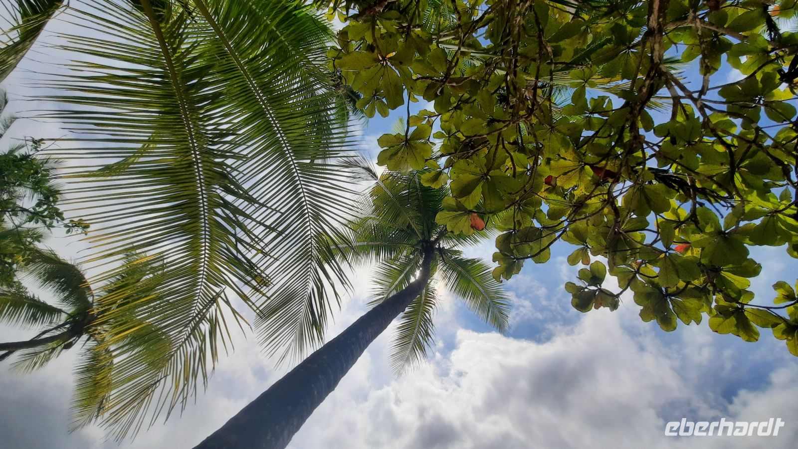 231 – Costa Rica, Corcovado-Nationalpark