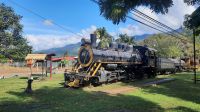 237 – Costa Rica, Sierpe, Eisenbahn