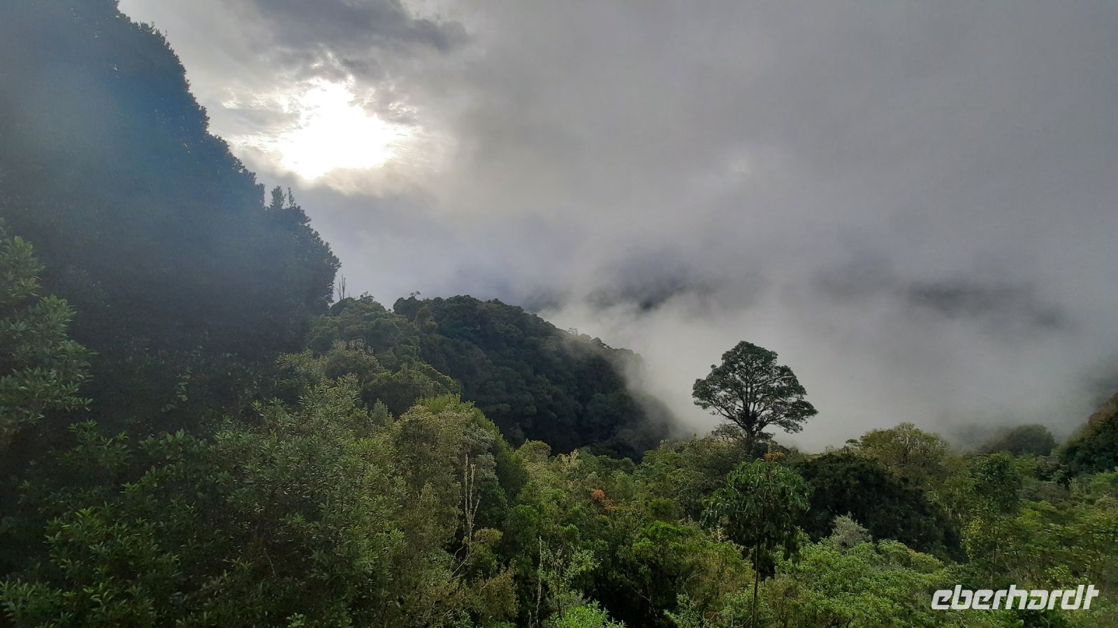 246 – Costa Rica, San Gerardo de Dota, Wanderung