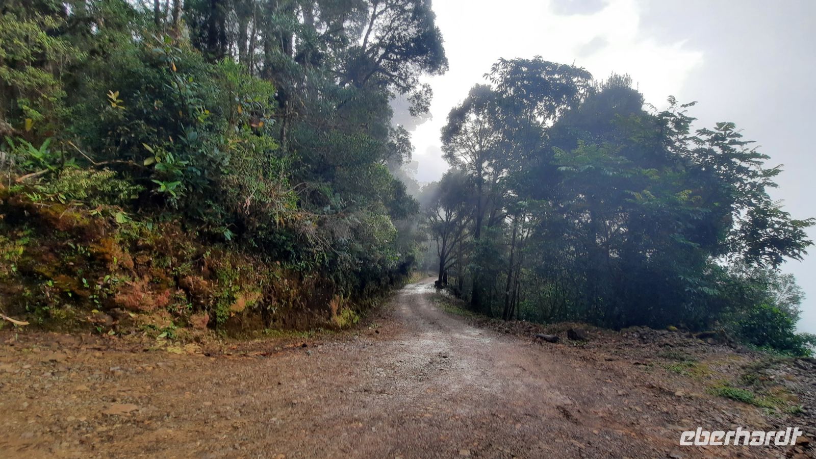 247 – Costa Rica, San Gerardo de Dota, Wanderung