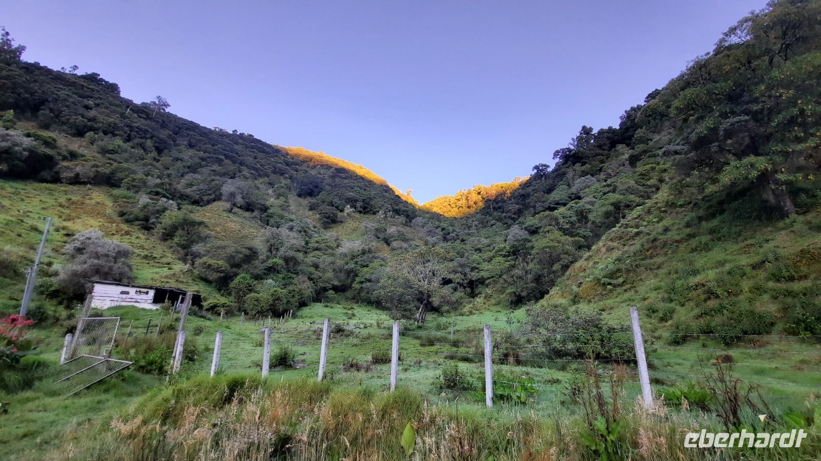 256 – Costa Rica, San Gerardo de Dota, Quetzal-Beobachtung