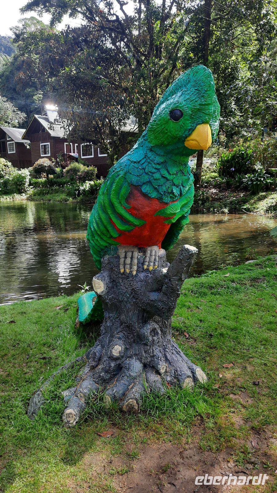 259 – Costa Rica, San Gerardo de Dota, Quetzal