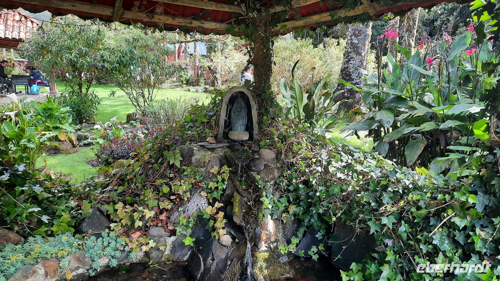 262 – Costa Rica, San Gerardo de Dota, Wanderung