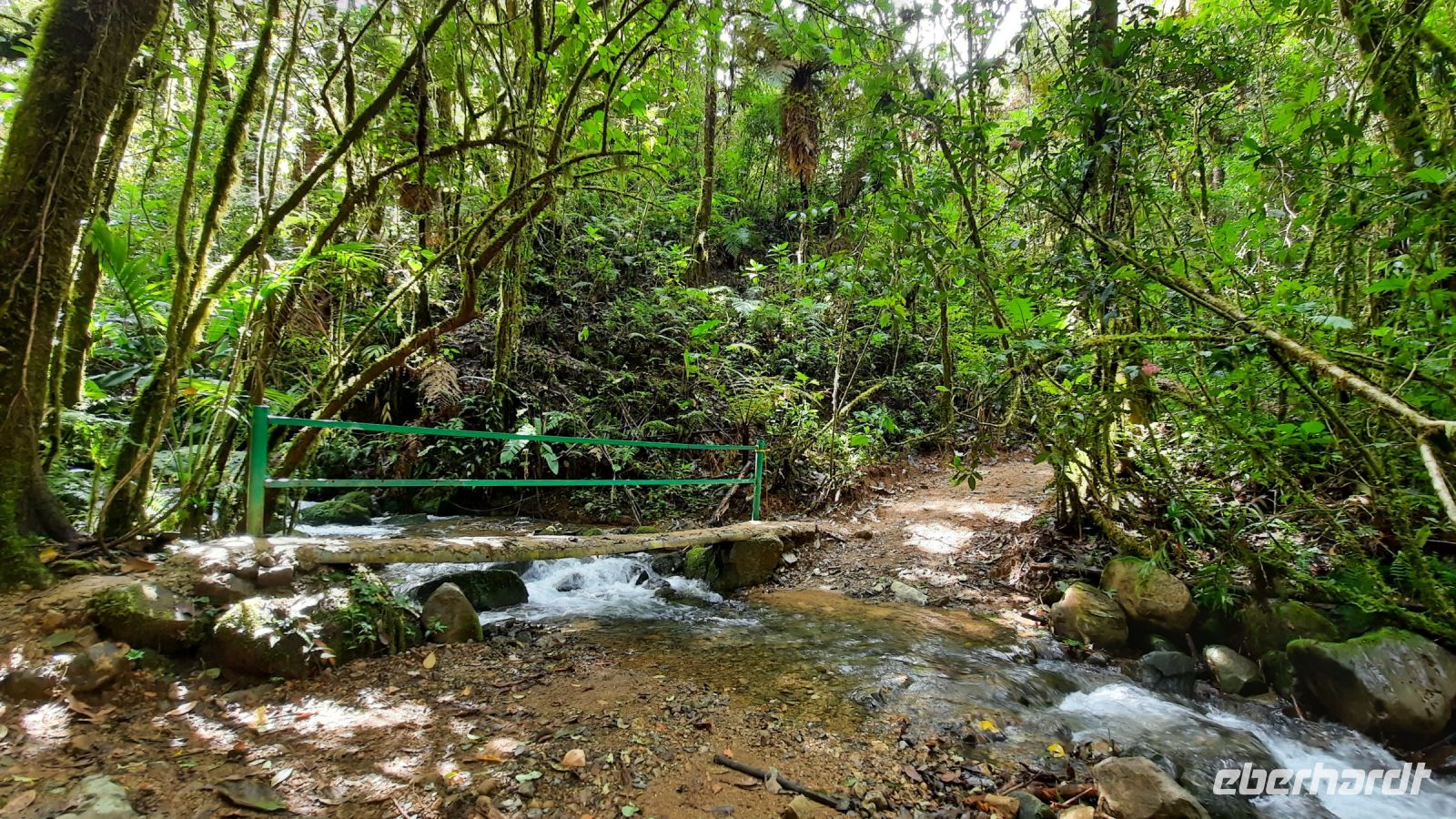 264 – Costa Rica, San Gerardo de Dota, Wanderung