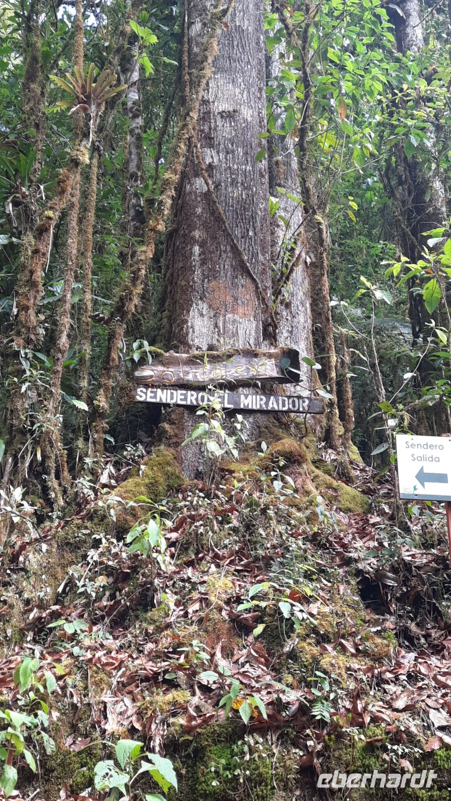 266 – Costa Rica, San Gerardo de Dota, Wanderung