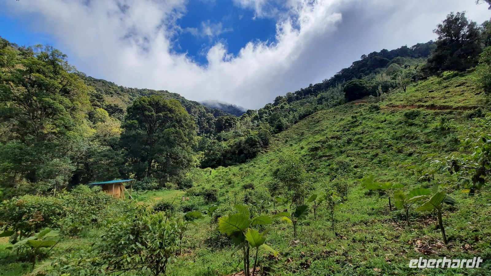 268 – Costa Rica, San Gerardo de Dota, Wanderung