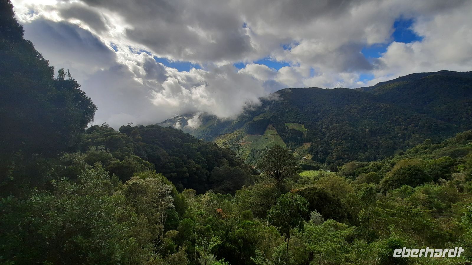 279 – Costa Rica, San Gerardo de Dota, Wanderung