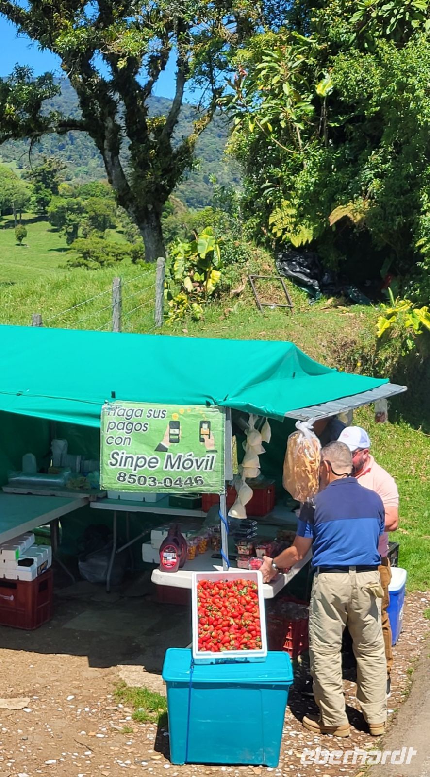 12 Hiro kauft Erdbeeren für uns